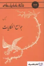 شاهکارهای ادبیات فارسی - شماره ۲۴ ( برگزیده جوامع الحکایات )