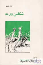 شکفتن در مه