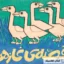 قصه ی غازها