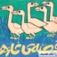 قصه ی غازها