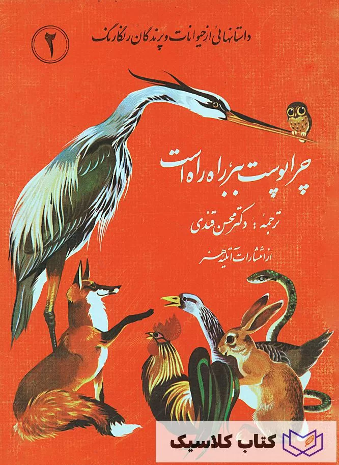 چرا پوست ببر راه راه است