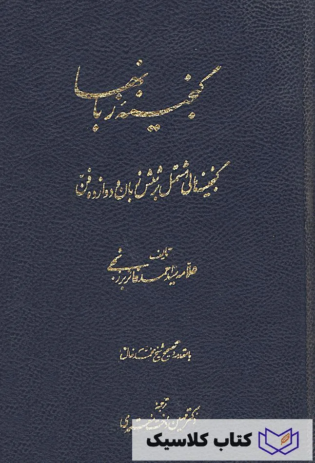 گنجینه زبانها