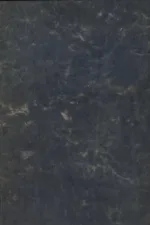 شرح اصول کافی 2