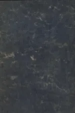 شرح اصول کافی 2