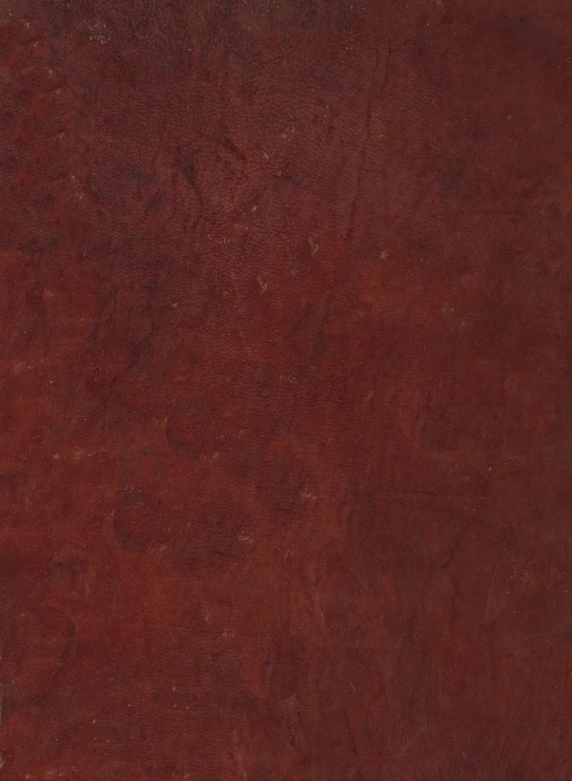 مجمع الامثال 2