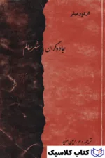 جادوگران شهر سالم
