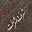 شرف و شرافت 2